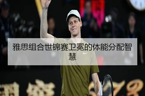 ya-si-zu-he-shi-jin-sai-wei-mian-de-ti-neng-fen-pei-zhi-hui-2-925.jpg